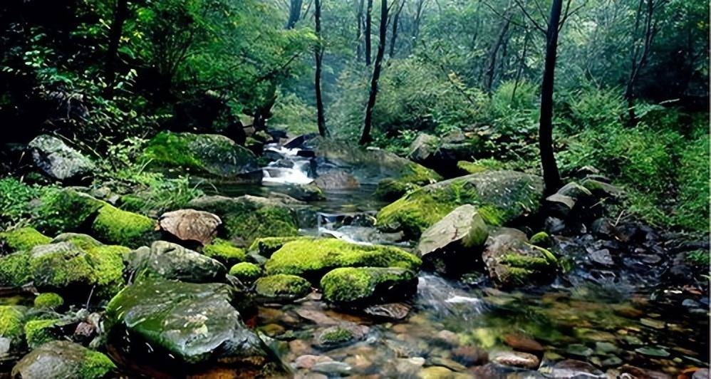 天津有座被称为“风水禁地”的八仙山，却被誉为津门最好的山峰