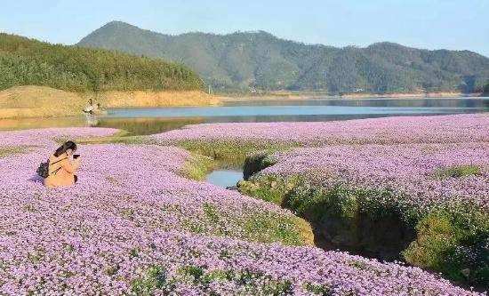 南平市春季赏花去哪里？