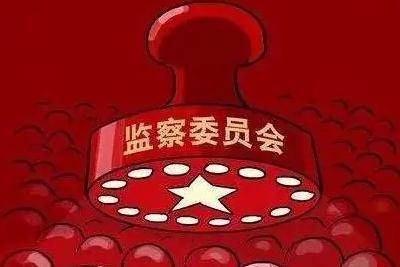 国家监察委员会由什么组成