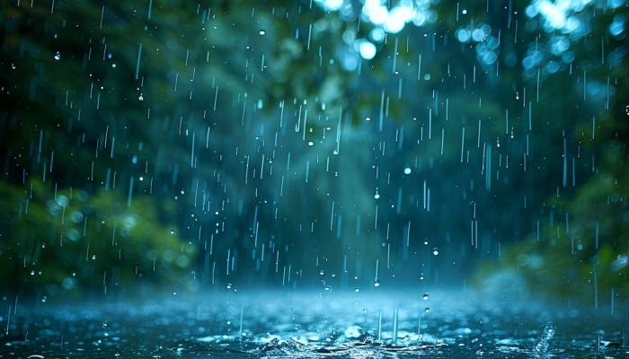 雨水节气谚语品味，雨水节气有哪些谚语