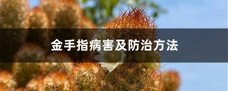 金手指病害及防治方法