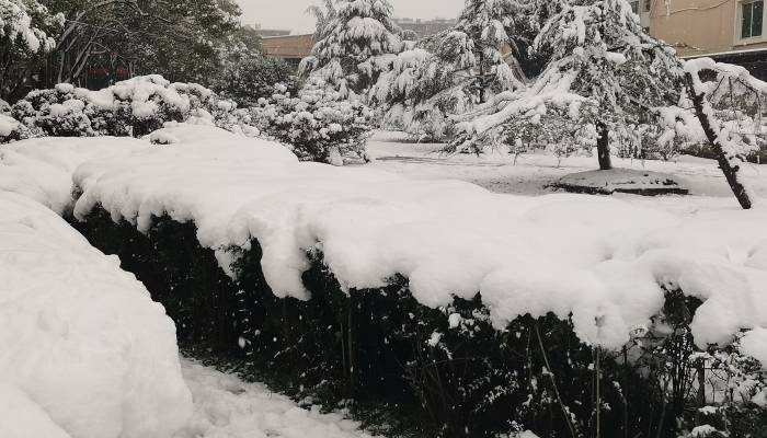 小雪时节雪还小，小雪的气候特征